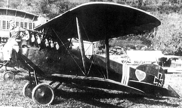 истребитель Феникс D.I времен первой мировой войны