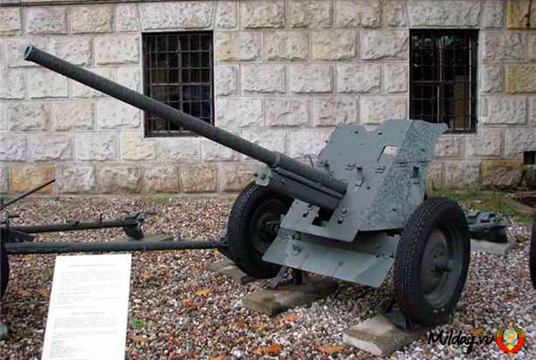 45-мм противотанковая пушка образца 1942 г. (М-42)