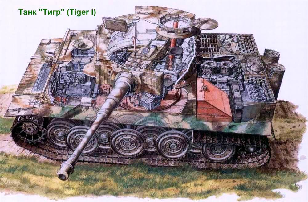 Разрез тяжелого танка Pz VI "Тигр". Хорошо видна схема размещения катков и двигатель