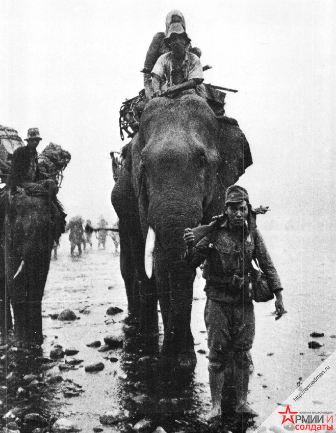 Японские солдаты в Бирме. Слон в непростых условиях юго-восточной Азии бьет грузовик и по проходимости и по грузоподъемности
