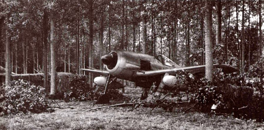 Бомбардировочный вариант истребителя, FW-190G-3 укрытый в лесу.